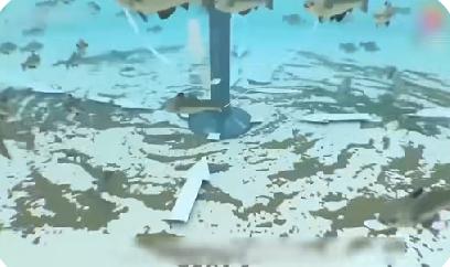 循环水养殖系统之物理过滤技术详解