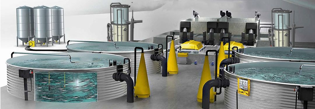 循环水养殖系统之管道设计要素（下）