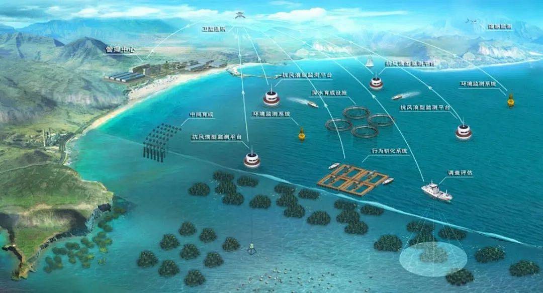 智慧渔业，到底“智慧”在哪里？