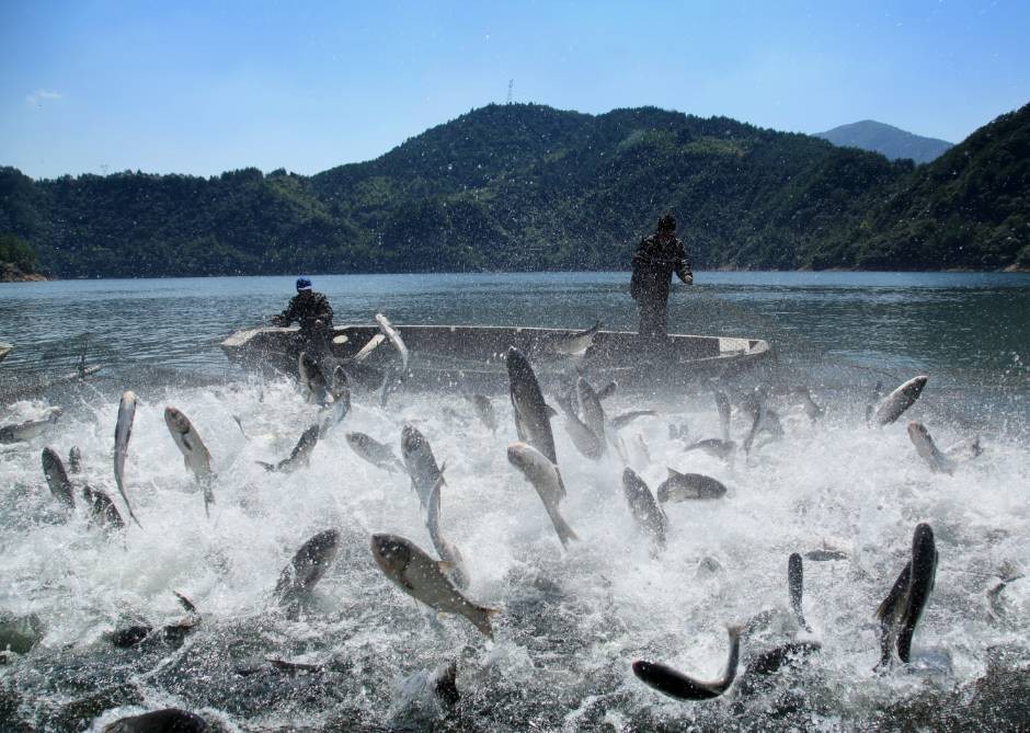 水产养殖如何平稳开春？这些管理要点你必须知道！