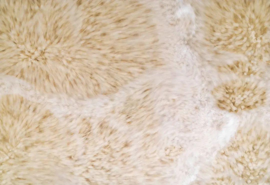 90%养殖户忽略的秘密：它才是循环水系统的“隐形守护者”