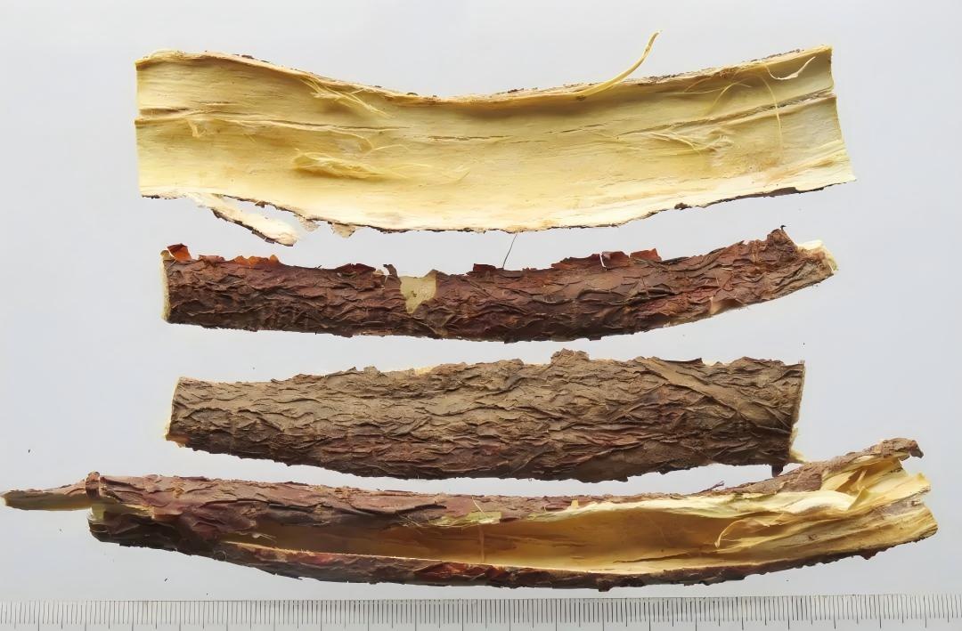 中草药在水产养殖中的妙用