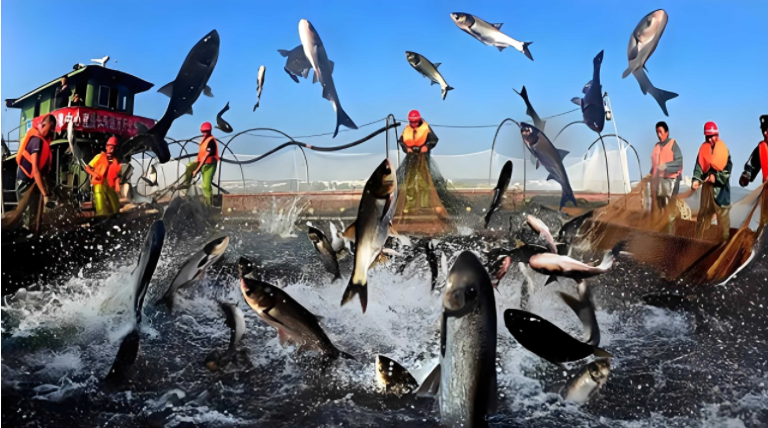 养殖户必看！这9项水质指标关乎你的养殖成败